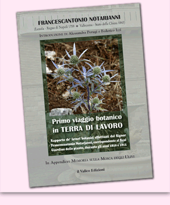 Nella foto di copertina: una pianta di calcatreppola