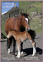 Nella foto di copertina si vede una cavalla con il suo puledrino