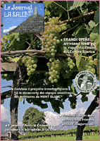 Nella foto di copertina si vedono le vigne di La Salle con sullo sfondo il Monte Bianco, in primo piano i grappoli maturi