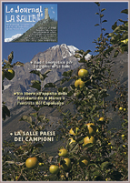 il Meleto del Parco Gerbollier con sullo sfondo il Monte Bianco
