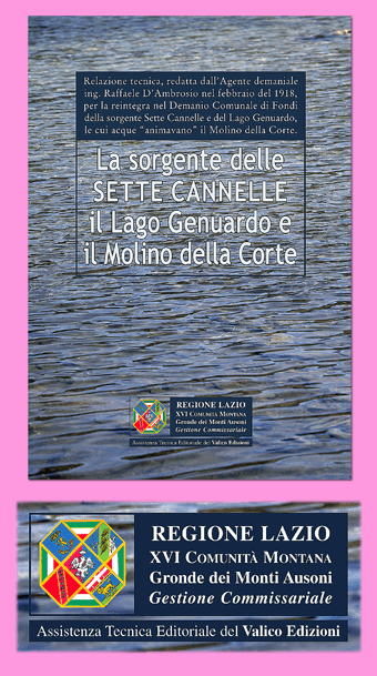 Immagine di una copertina, con il particolare della placchetta con le informazioni editoriali sull'entee sulla casa editrice.