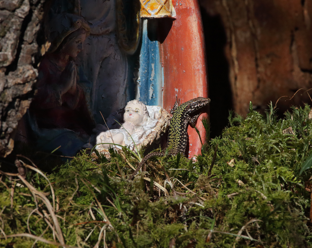 Riproduzione con la Sacra Famiglia inserita in un tronco d'albero in primo piano una lucertola vicino a Gesu bambino