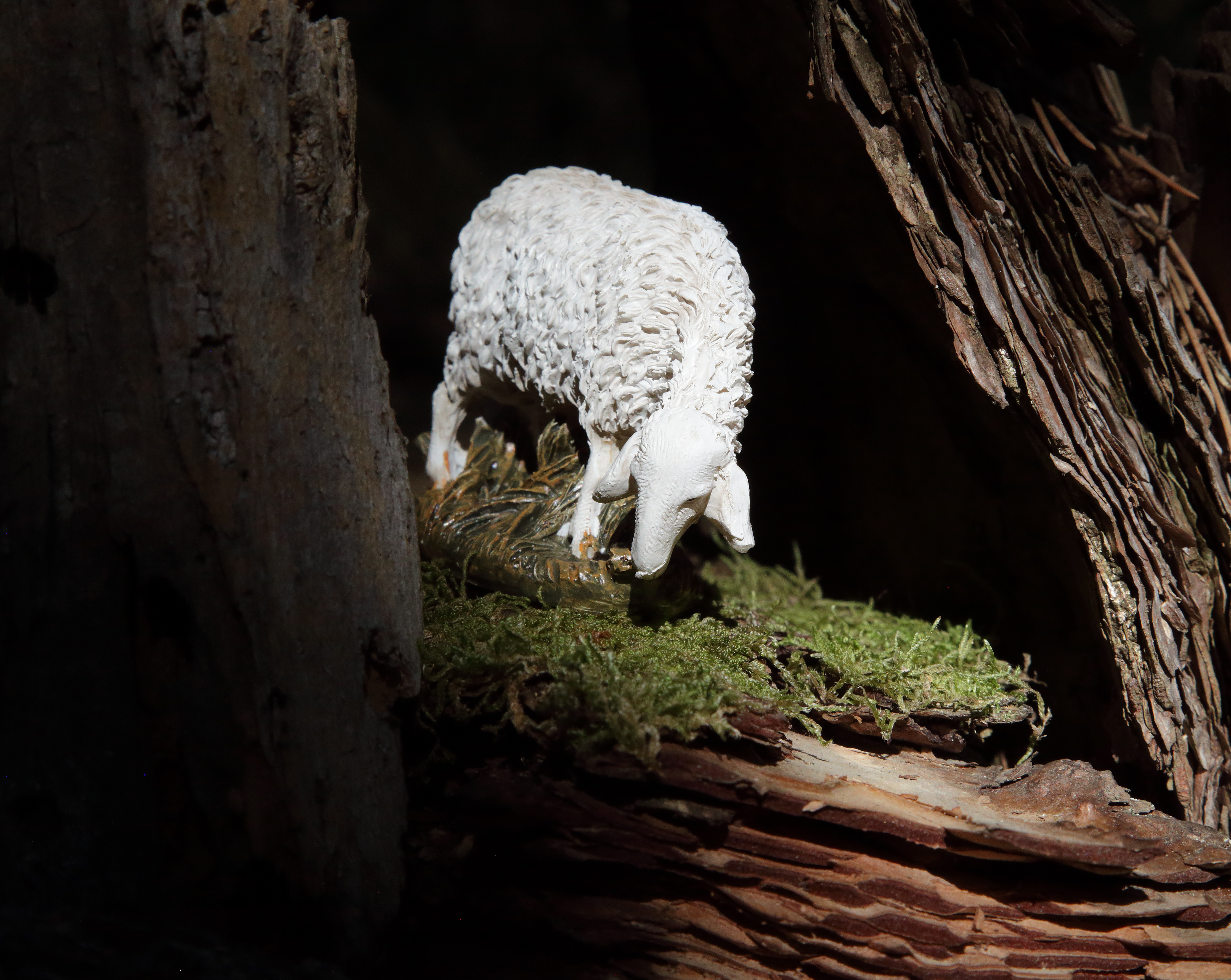 pecorella sul muschio inserita in un tronco d'albero